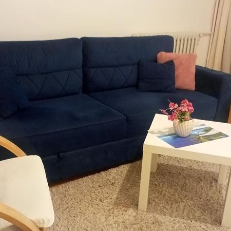 Apartment Mrc , Free Parking Bezanija Exterior foto